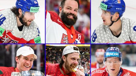 Pastrňák a dalších pět zlatých hochů z Prahy. Češi zveřejnili předběžnou nominaci pro olympijský turnaj