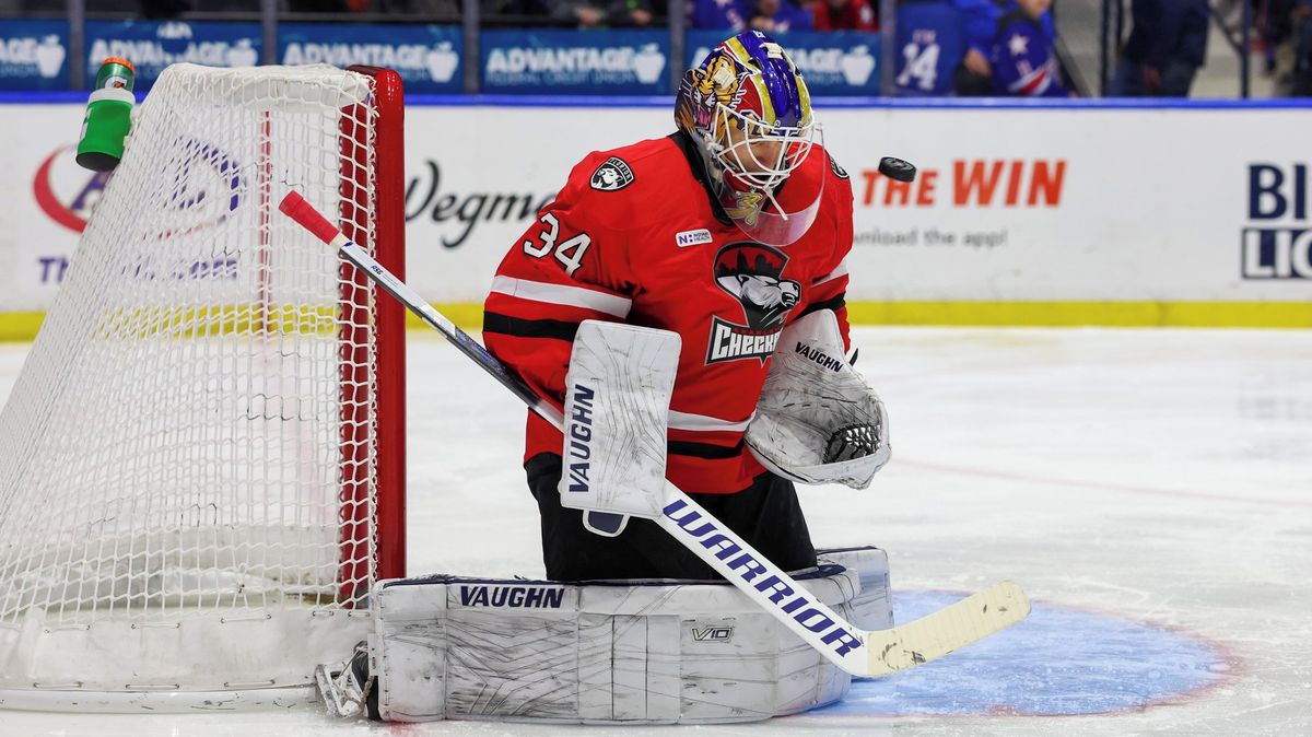 NHL |最終的なAHLの物議を醸す否定。ゴールキーパーが準備されていないため、審査員は勝利の目標を却下しました
