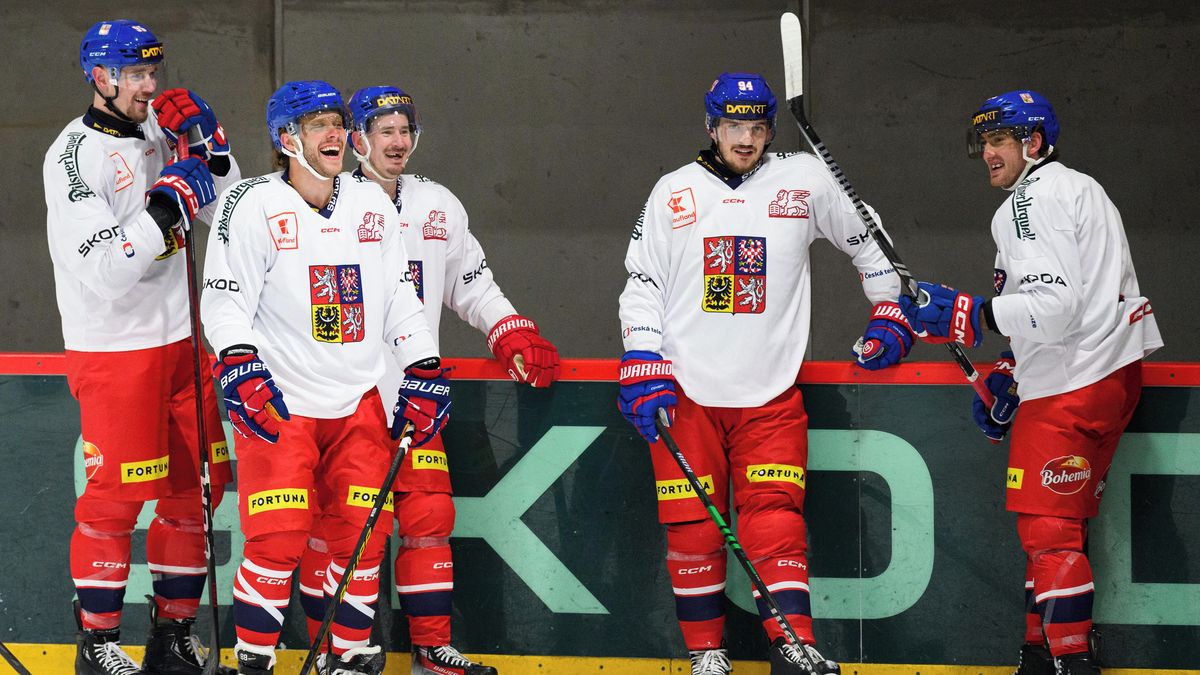 Hokejovou reprezentaci může převzít trenérský tandem