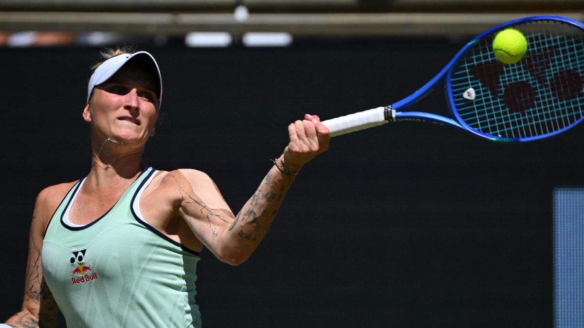 Pět českých tenistek vstoupí do Wimbledonu. Rozjetá Vondroušová chce navázat na předloňský triumf