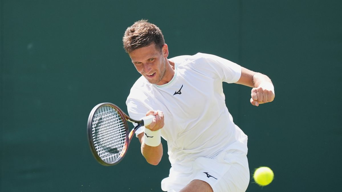 Zatmění v koncovce. Kopřiva propásl na Wimbledonu nečekanou šanci