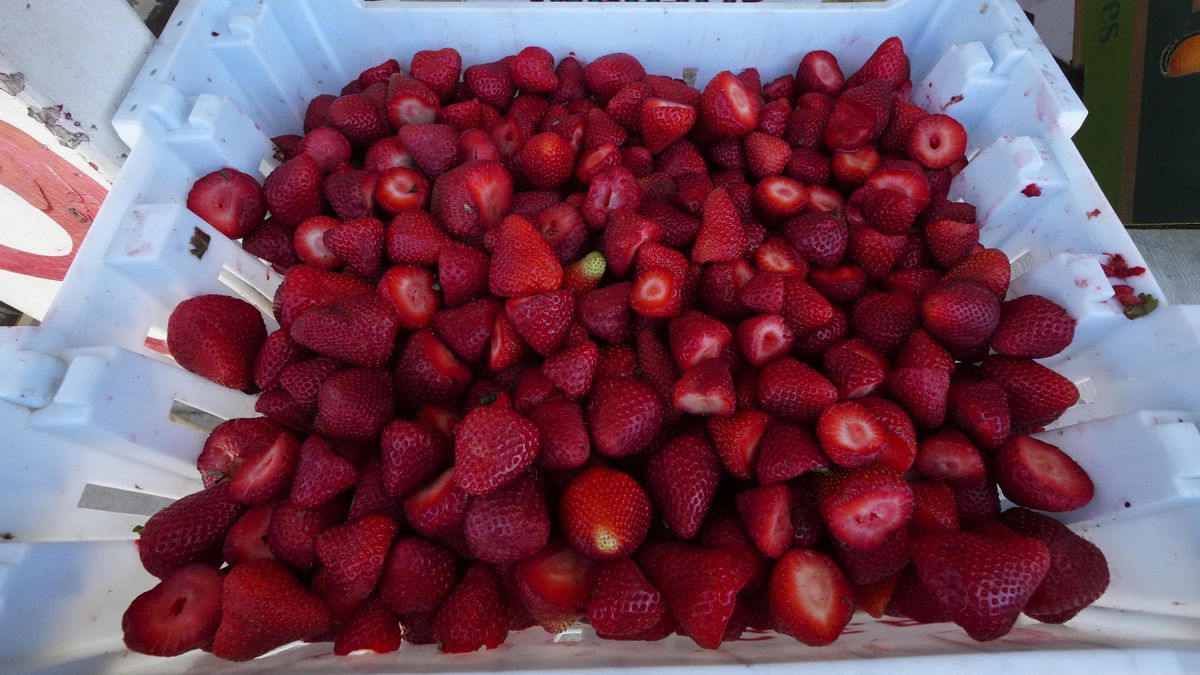 Zdražení po 15 letech. Wimbledon navýšil cenu neodmyslitelné laskominy, fanoušci se nemusejí čílit