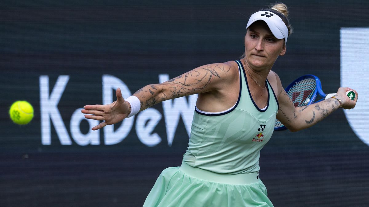 Vondroušovou čeká repríza wimbledonského finále. V akci budou i Lehečka s Macháčem