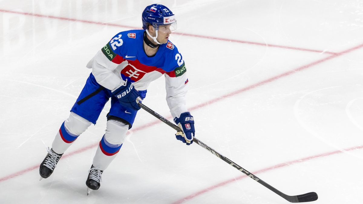 Defenzivu hokejových Vítkovic posílil olympijský medailista