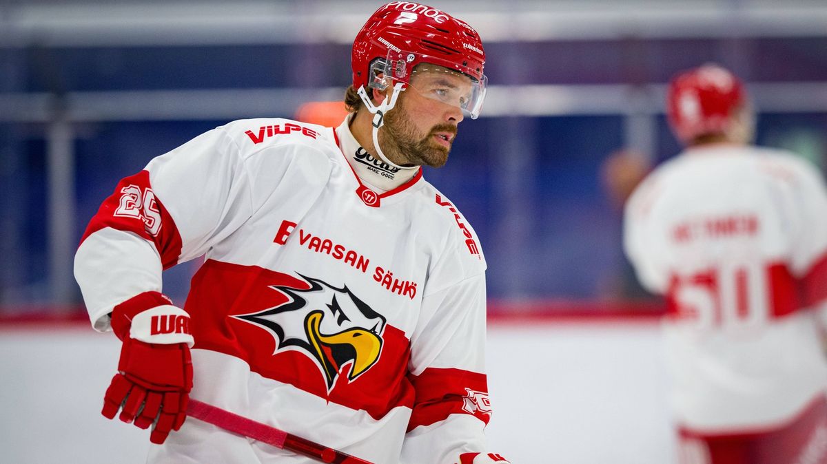 Litvínov posílil švédský centr Holmström