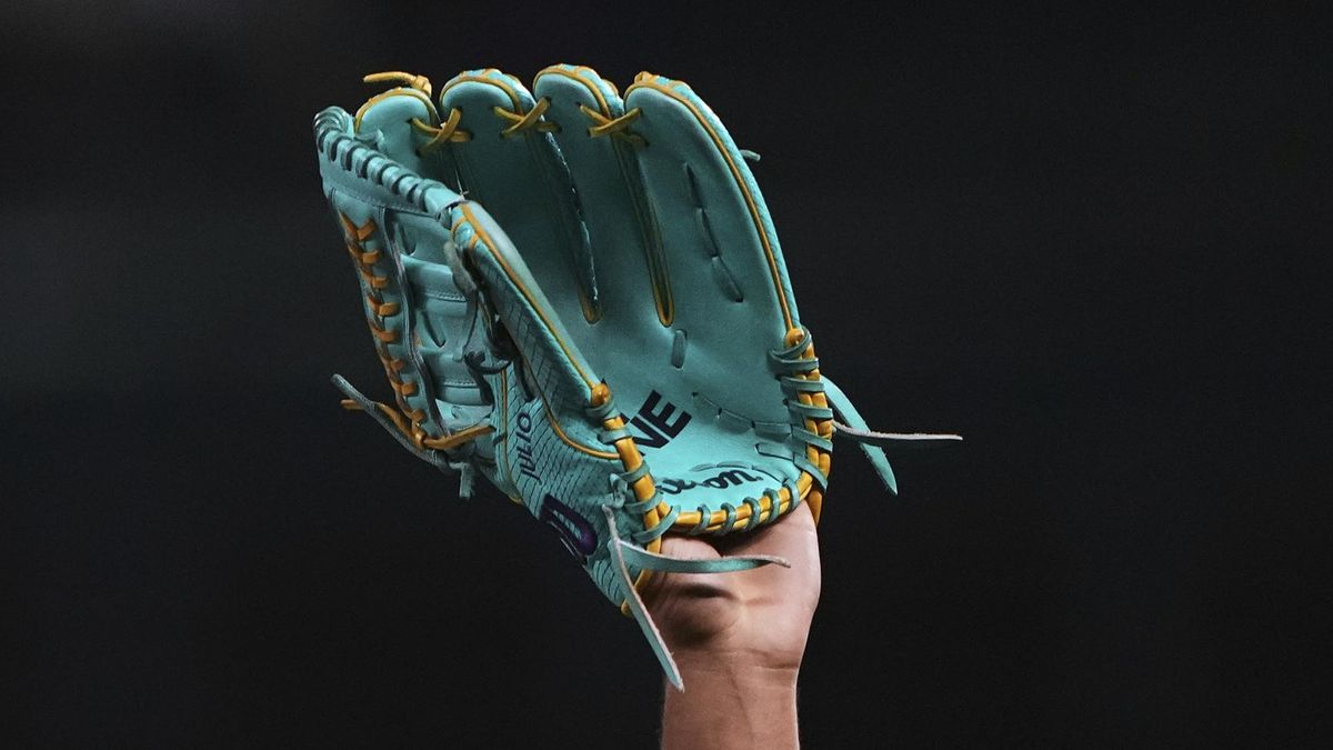 O baseballovém mistrovi se kvůli dešti rozhodne v Brně až ve čtvrtek