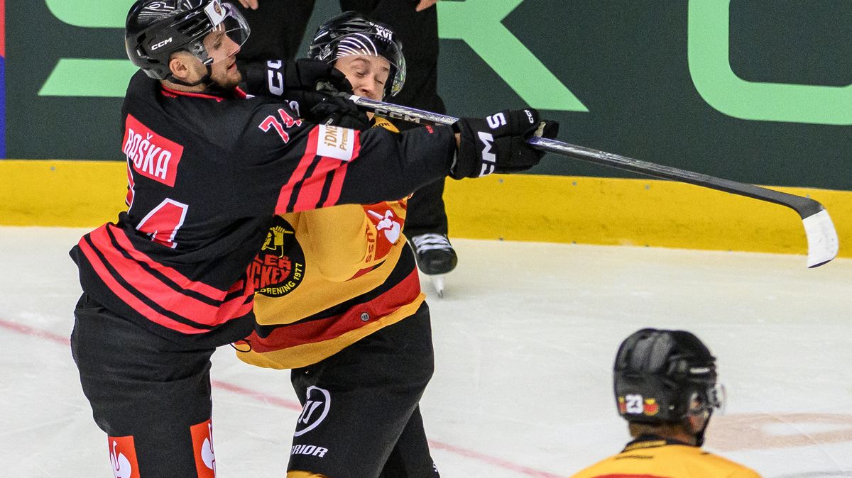 Nejvíc posil přivedlo z donucení Kladno, Pardubice a Sparta šly po kvalitě. A pak je tu Třinec