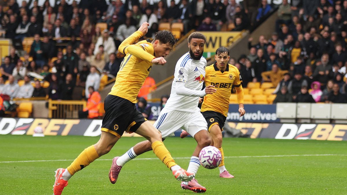 Wolverhampton Loss: Taylor’s Goal & Diouf’s Assists Fail