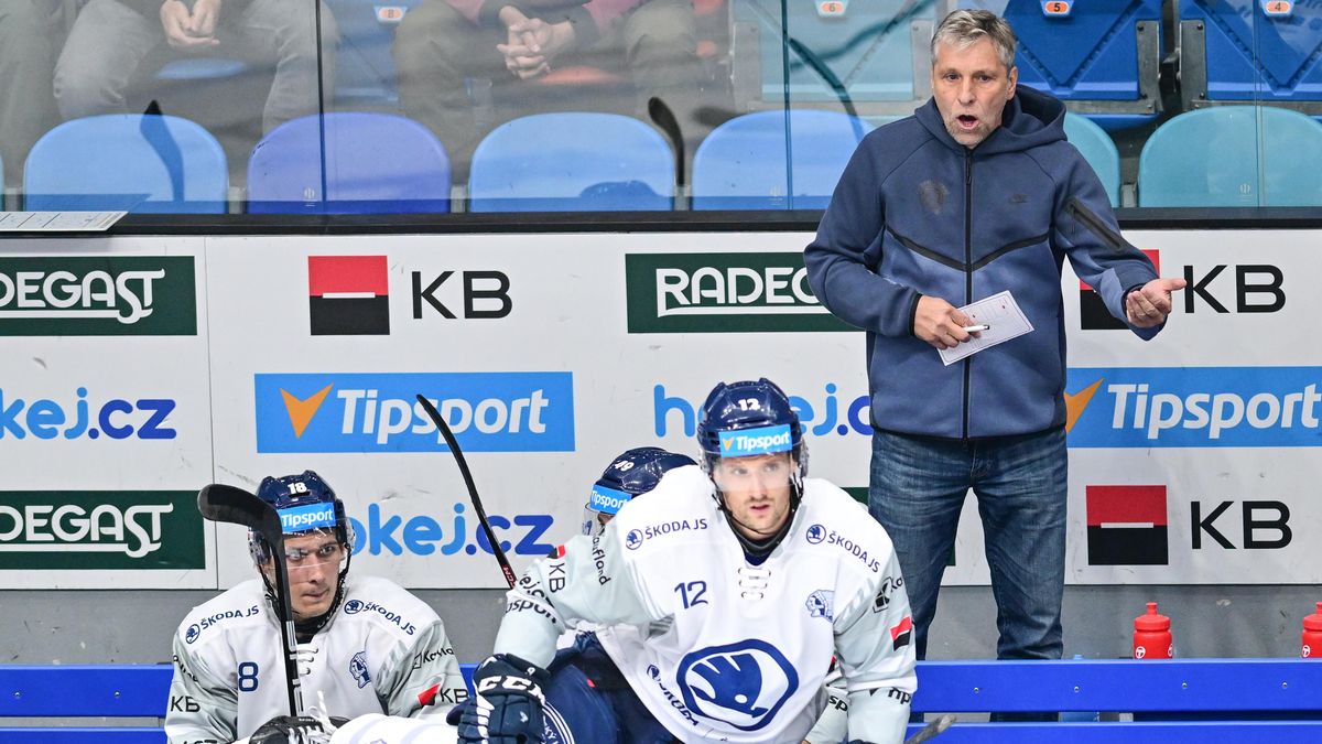 Plzeň si při marodce v zadních řadách vyhlédla posilu ve Finsku. Přichází bratr útočníka Sparty