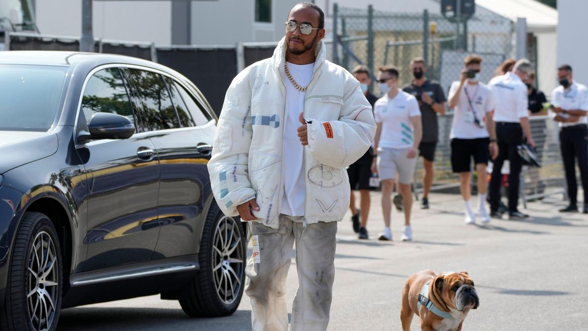 Nejslavnější pes formule 1 uhynul. Vzpomínky na něj budu nosit v srdci, smutní Hamilton