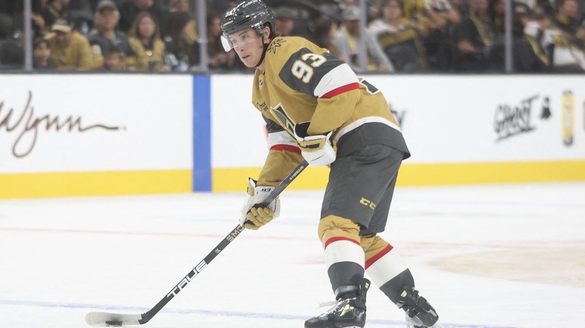 Největší úlovek v NHL si zvyká na nový rybníček. Ve hře je i varianta s českým pořízkem