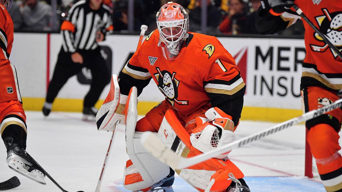 Dostál vyrazil na pomoc. Potyčku gólmanů ale zpacifikovali sudí