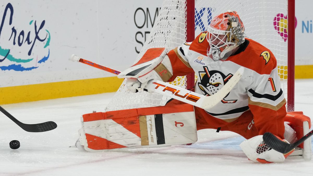 Famózní Dostál znovu zářil v NHL. Byl vyhlášen první hvězdou