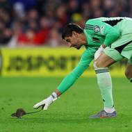 Belgický brankář Thibaut Courtois hmátnul do prázdna. 