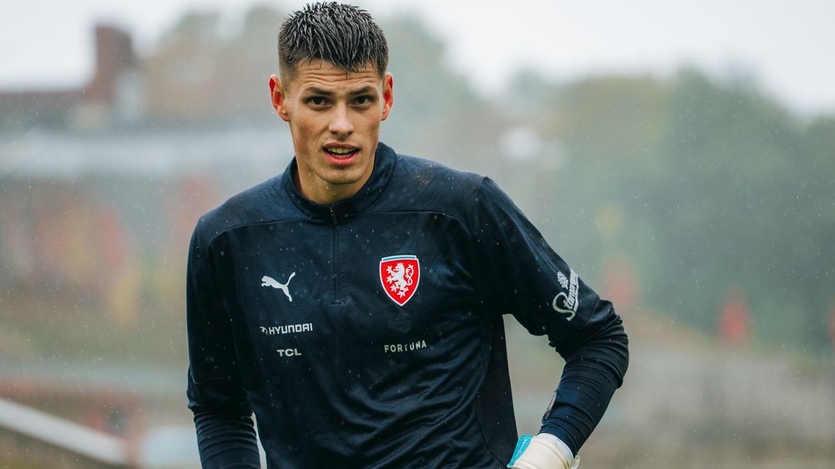 Obrovská smůla pro brankáře Plzně. Musí na operaci, čeká ho dlouhá pauza