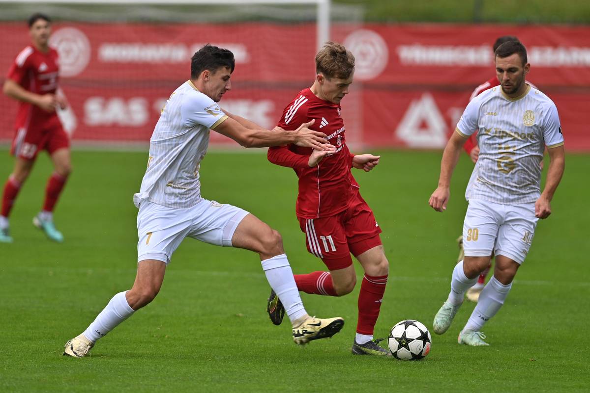 <p>Utkání 3. kola českého fotbalového poháru MOL Cupu: Třinec - Hradec Králové, 1. října 2025, Třinec.</p>