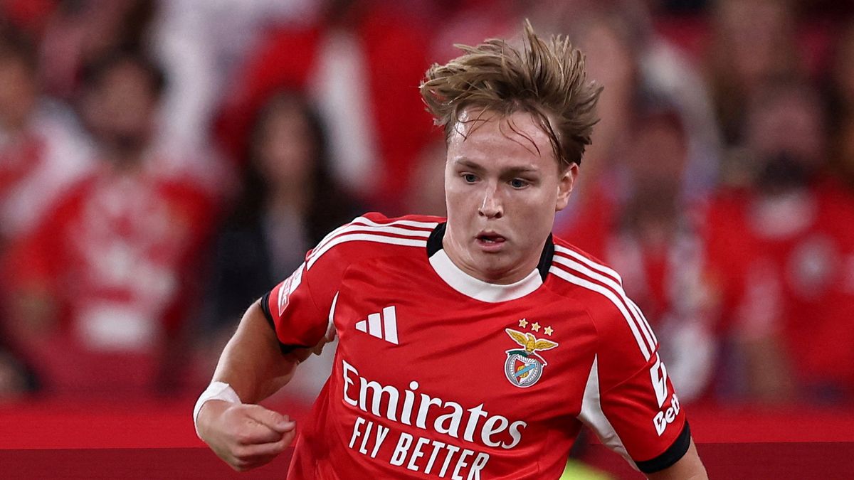 Za sdílení sexuálního videa s nezletilými dostal fotbalista podmínku