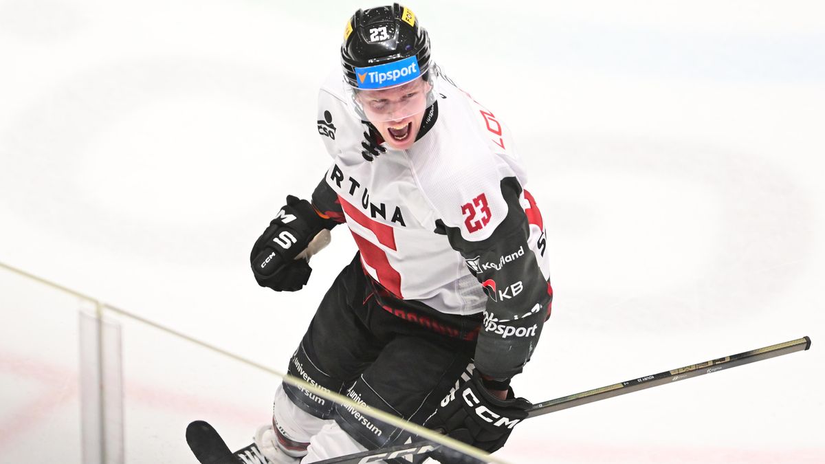 ONLINE: Videomomenty ze zápasu Litvínov - Sparta