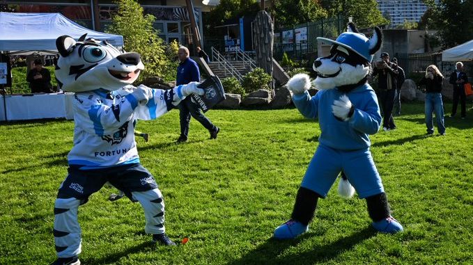 Fandové Liberce řeší kolizi. Pod Ještědem si konkurují dvě atraktivní utkání