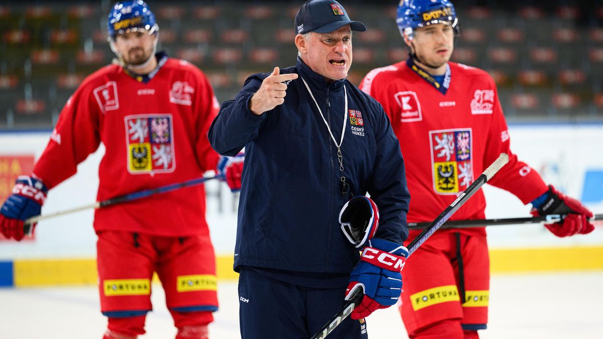 Hokejová reprezentace se přesunula do Švédska. Pánové, hodně štěstí, hlásil kapitán letadla