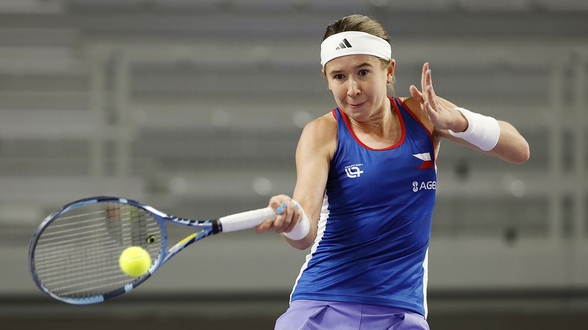 TENIS ONLINE: Češky bojují o záchranu! Ostrá premiéra pro debutantku