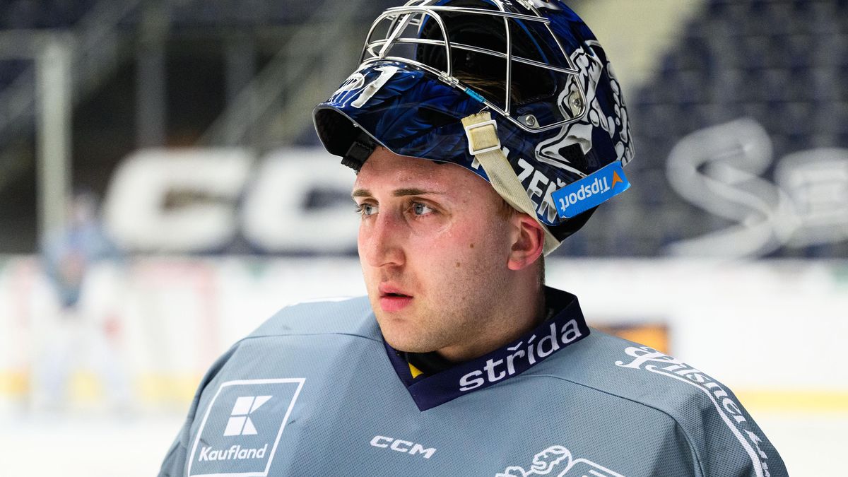 Reprezentace jako odrazový můstek do NHL. Malík věří, že mu národní tým otevře bránu