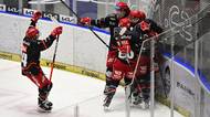 HOKEJ ONLINE: Gólové hody v Hradci! Třinec otáčí, vede také Litvínov