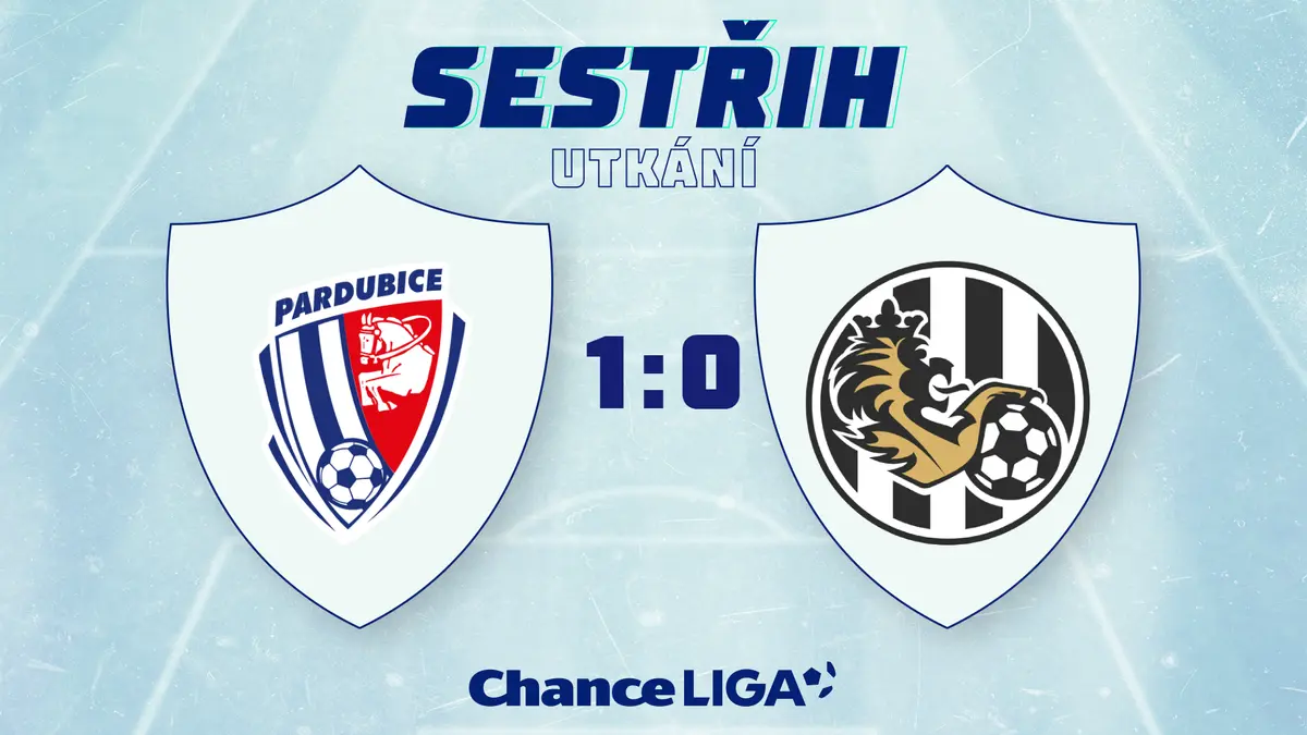 Pardubice & Bílek: Coaching Talks & Potential Partnership