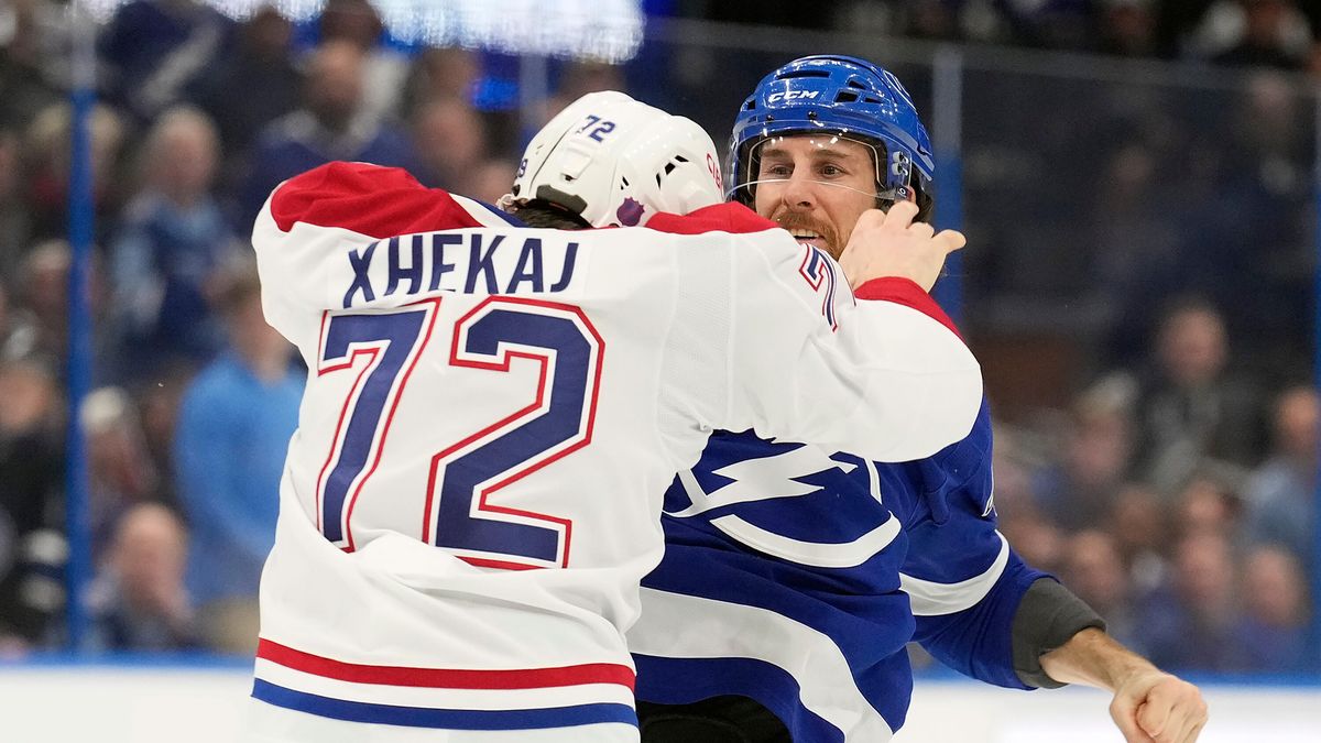 Sebevědomý bitkař dostal v NHL na pamětnou. Syn české matky ho nemilosrdně vypnul