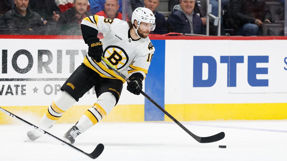 Zacha asistoval, Boston bez Pastrňáka ale prohrál