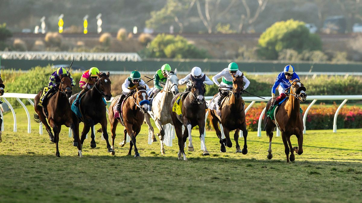 Rána, šok ve finiši. Neuvěřitelná nehoda zastavila žokeje v boji o triumf v dostihu