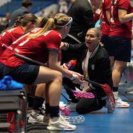 Porada na české střídačce během čtvrtfinále