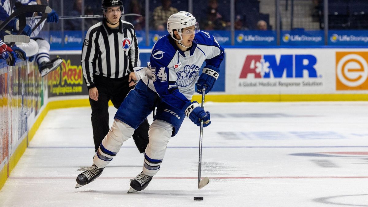 Vítkovice přivedly na zkoušku švédského útočníka se zkušenostmi ze zámoří