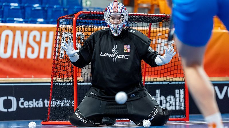 Pivo spojuje. České brankářky proměnily své masky v umělecká díla