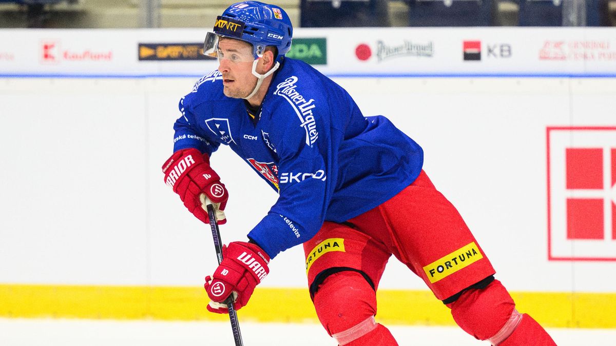 Olympijská zelená pro Červenku. Jen zranění by ho mohlo ohrozit, přiznal Rulík