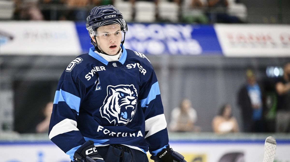 Žilinu posílí dva čeští útočníci 