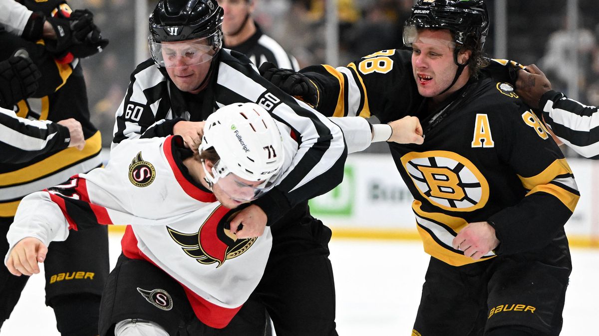 Pastrňák skóroval, ale také se popral. Hertl prožil nejlepší zápas v sezoně. Gól slaví i Nečas