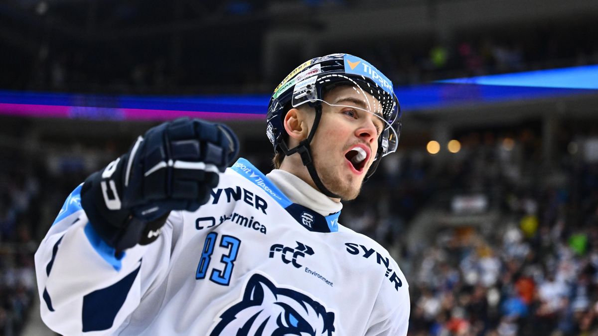 HOKEJ ONLINE: Liberecká euforie nebere konce, Brnu odskočil na dva góly. Pardubice zlomily olomoucký odpor