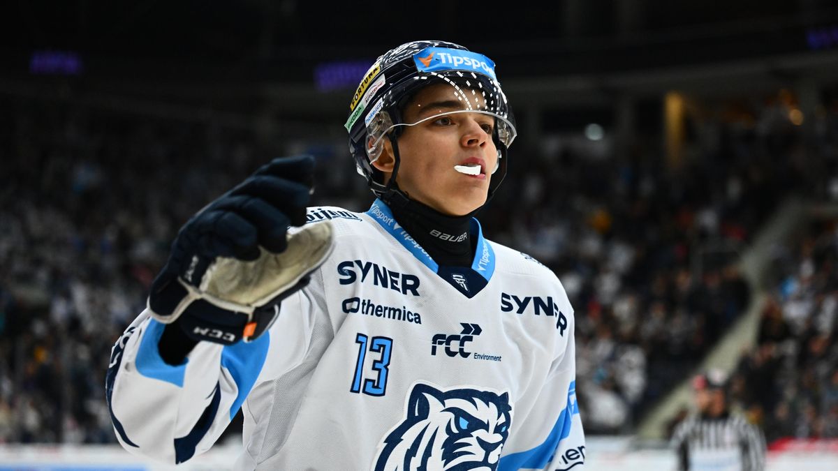 HOKEJ ONLINE: Pardubická ztráta narůstá. Třinec znovu prohrává