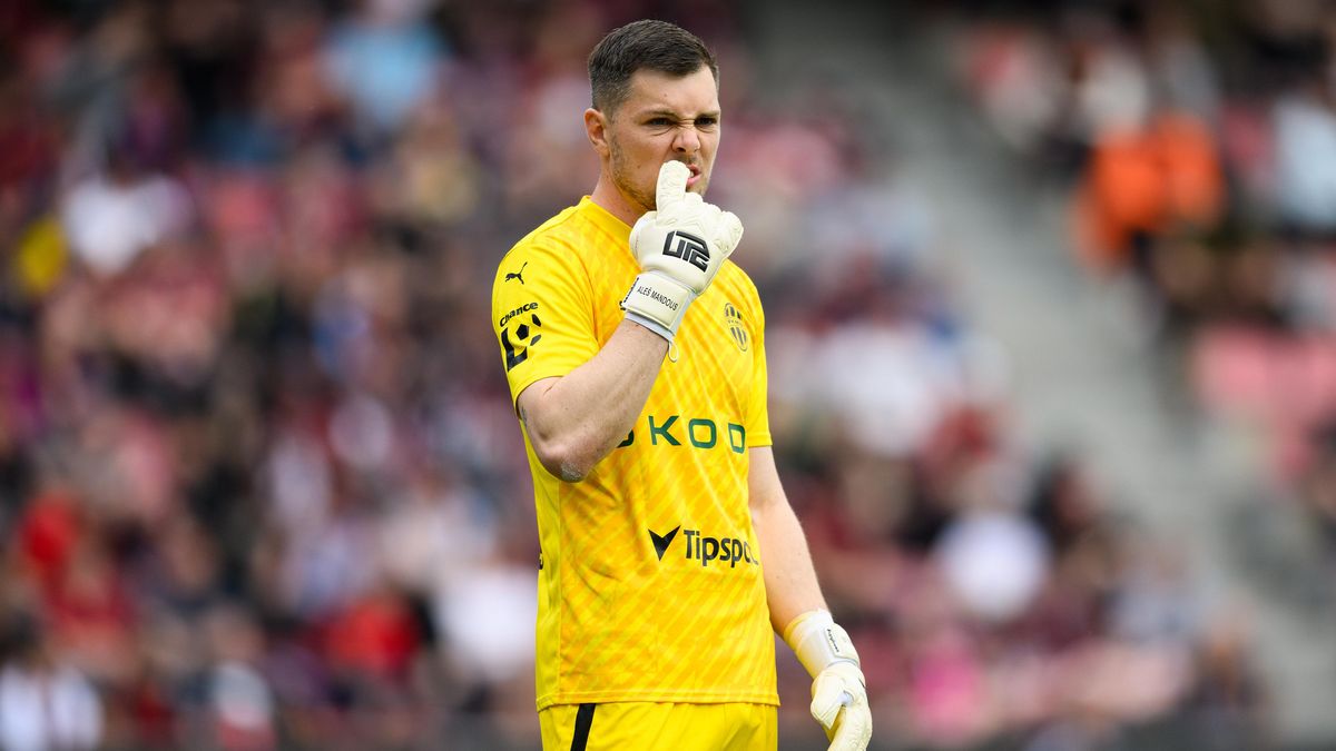 Mandous přestoupil do Pardubic