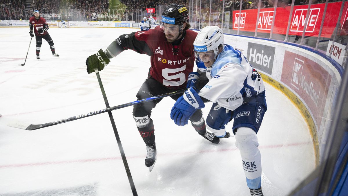 Němeček si jeden zápas nezahraje