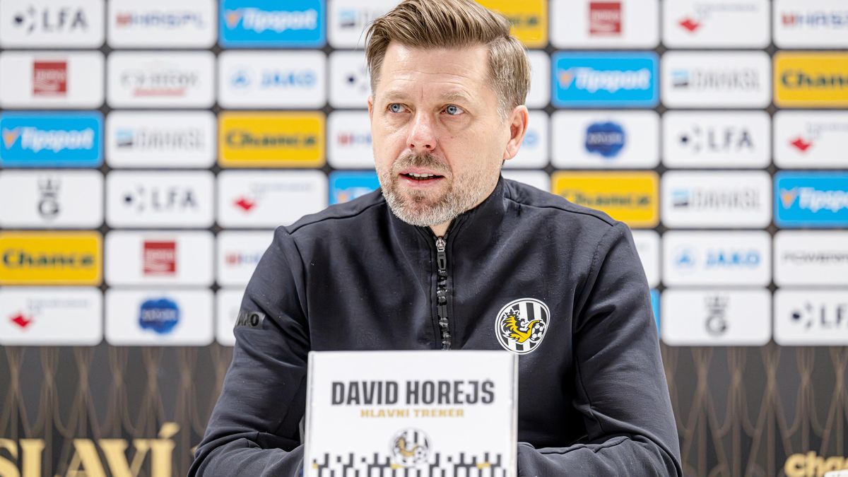 Byl to obrovský šok. Musíme reagovat, říká kouč Hradce po odchodu tří opor