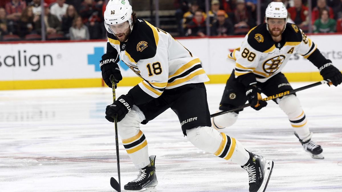 Sledovat Pastu, jak tvoří hru, je nádhera. Zacha o hvězdném krajanovi, bostonské sezoně i olympijském nadšení