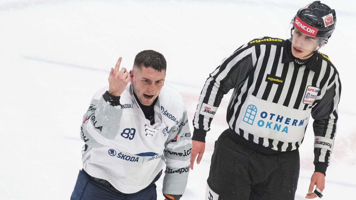 Hokejová Plzeň a České Budějovice měnily útočníky