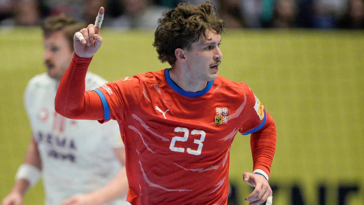 Češi se vydali ze všech sil, nasazovali i zdraví. Výkon na hranici možností, chválil kouč i přes prohru