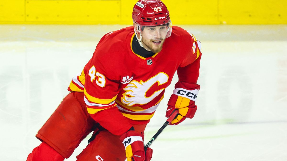 Výška, svaly, NHL. Proč Češi ignorují Klapku? diví se v Kanadě