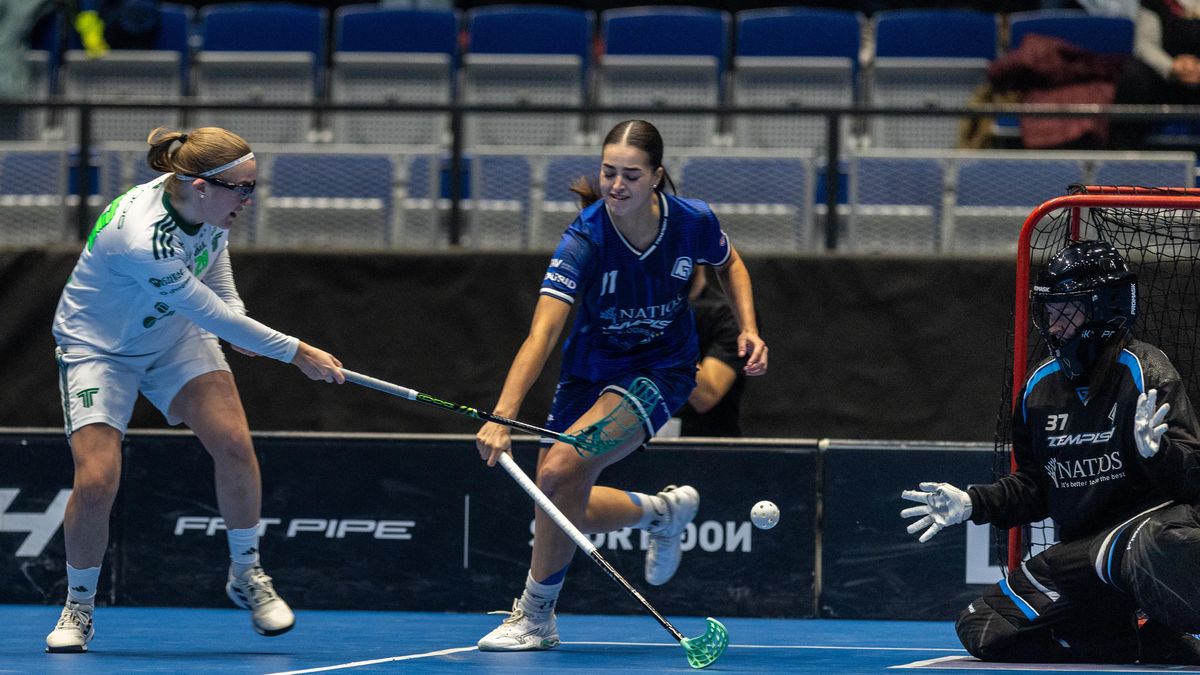 Vítkovice na titul v Poháru mistrů nedosáhly. V ostravském finále řádila finská dvojčata Kauppiovy