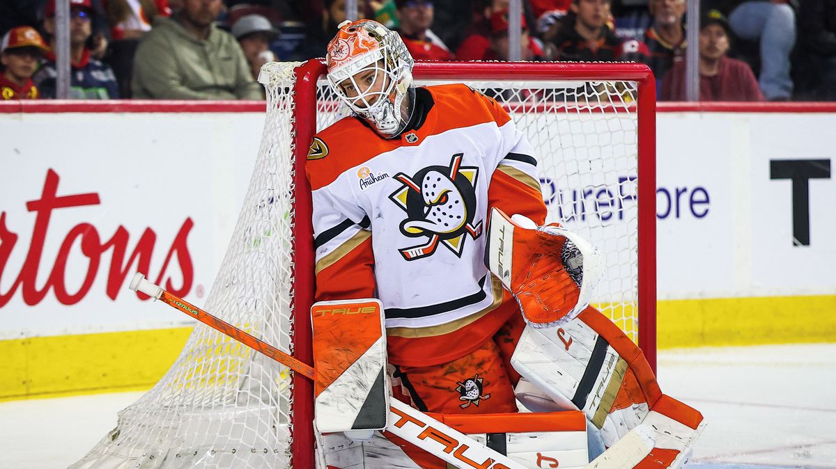 Z Anaheimu do Milána. Gudas bere celou rodinu, Dostál by rád viděl Sáblíkovou