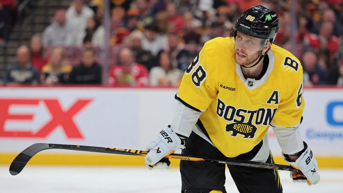 Skvělý Vejmelka vychytal výhru nad Detroitem. Pastrňák asistoval