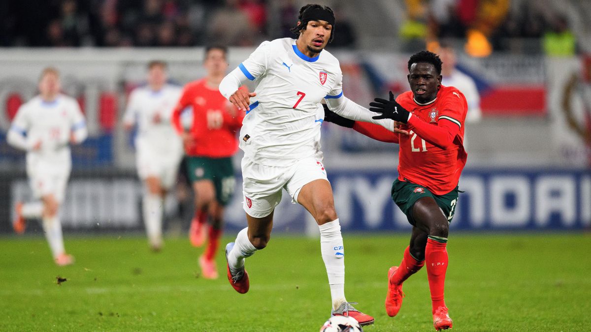 Český fotbalista Eduardo by měl zamířit za krajany do Hoffenheimu